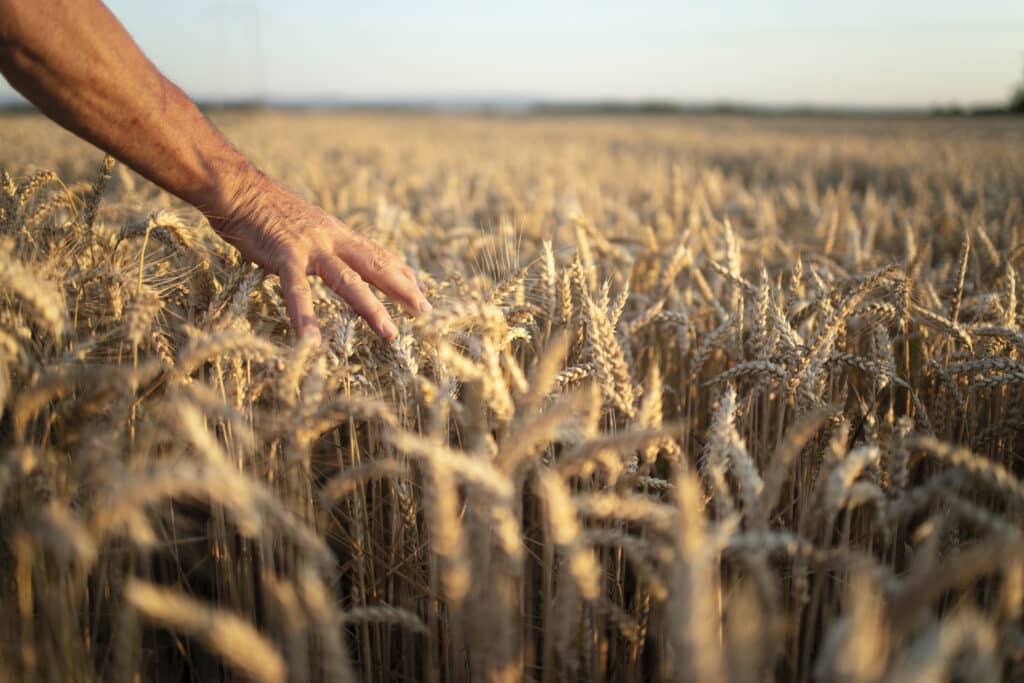 PAC política agraria comun AREA asesoria agraria Zaragoza